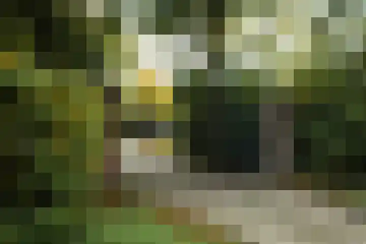 Apeldoornsestraat 54 Voorthuizen thumbnail 5