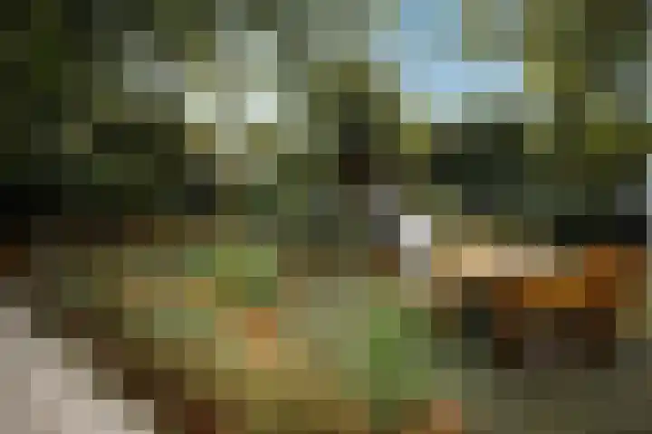 Apeldoornsestraat 54 Voorthuizen thumbnail 8