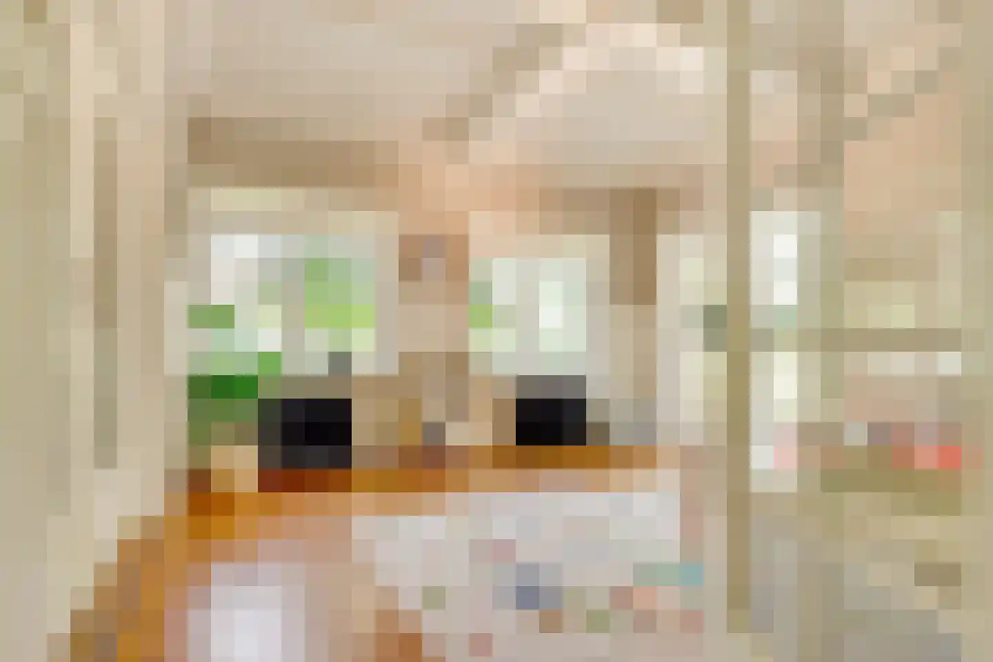 Apeldoornsestraat 60 Voorthuizen thumbnail 10