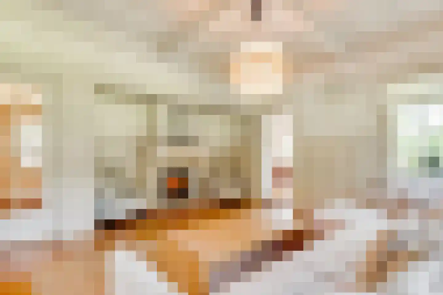 Apeldoornsestraat 60 Voorthuizen thumbnail 13