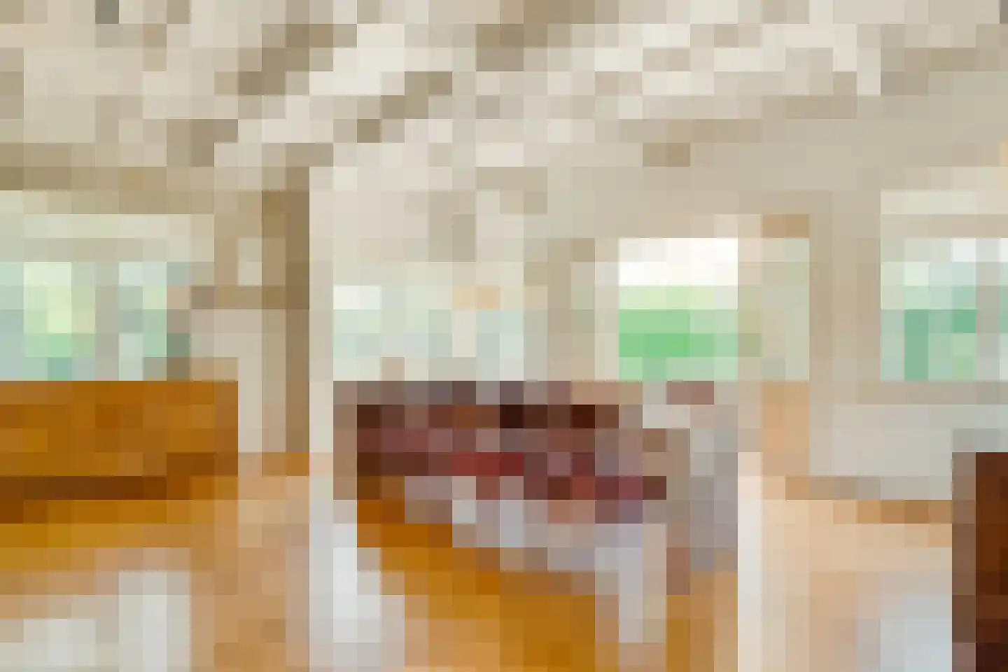 Apeldoornsestraat 60 Voorthuizen thumbnail 14