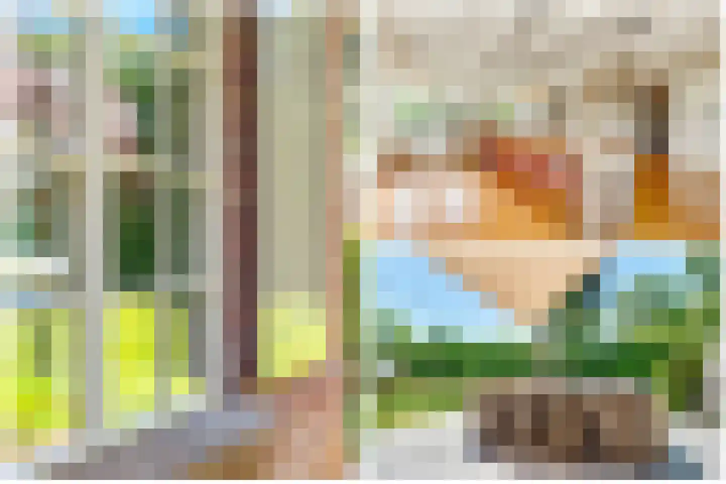 Apeldoornsestraat 60 Voorthuizen thumbnail 17