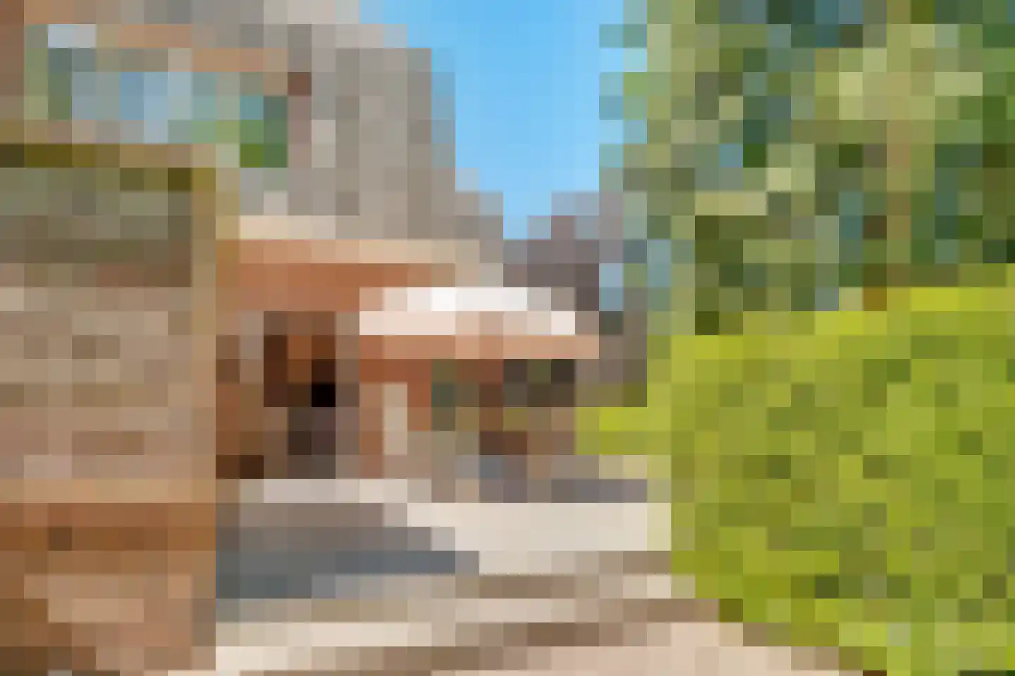 Apeldoornsestraat 60 Voorthuizen thumbnail 23