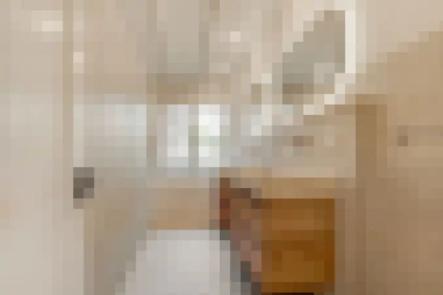 Apeldoornsestraat 60 Voorthuizen thumbnail 27