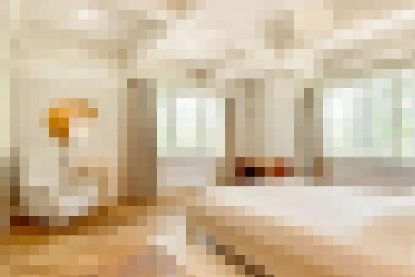 Apeldoornsestraat 60 Voorthuizen thumbnail 32