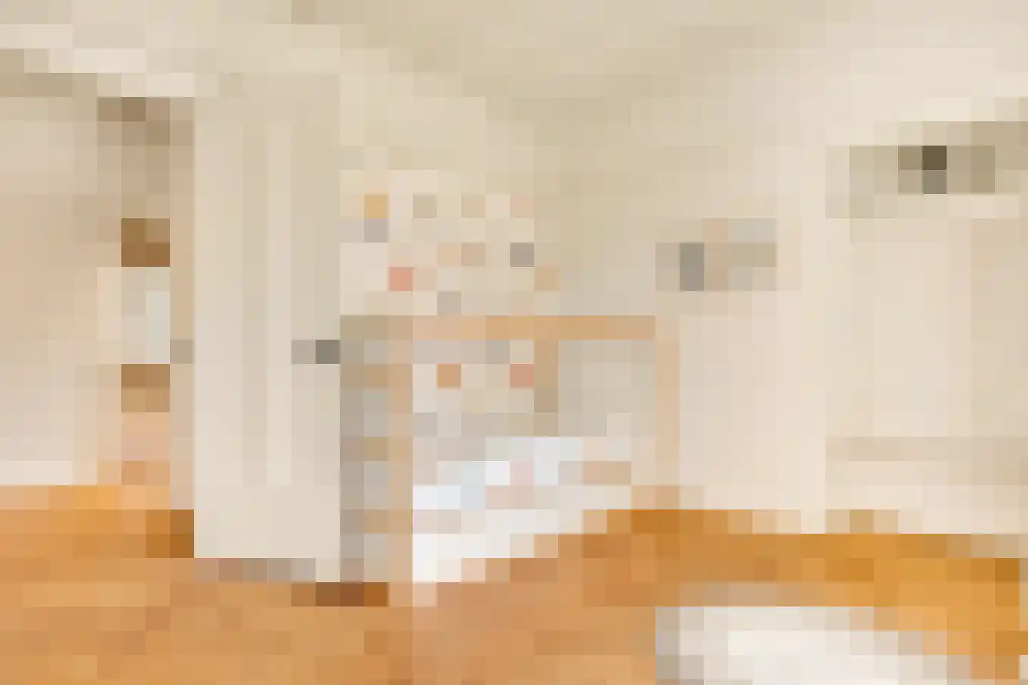 Apeldoornsestraat 60 Voorthuizen thumbnail 35
