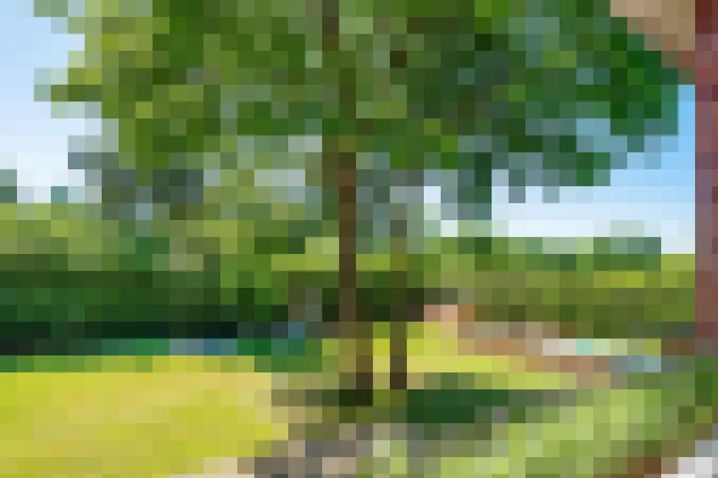 Apeldoornsestraat 60 Voorthuizen thumbnail 37