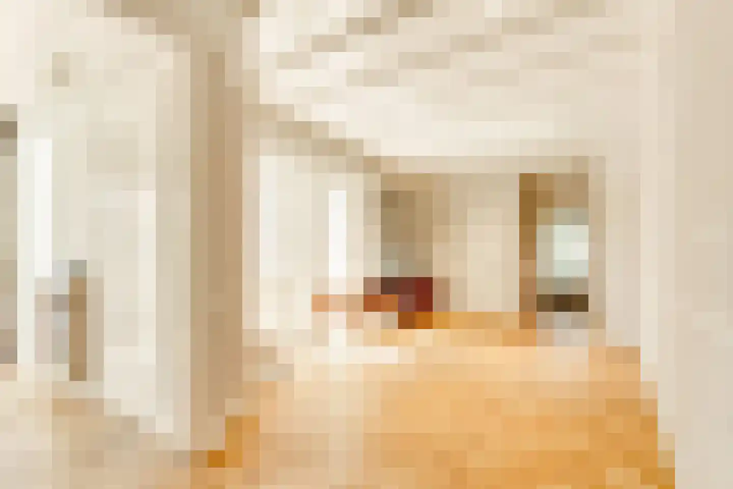 Apeldoornsestraat 60 Voorthuizen thumbnail 39