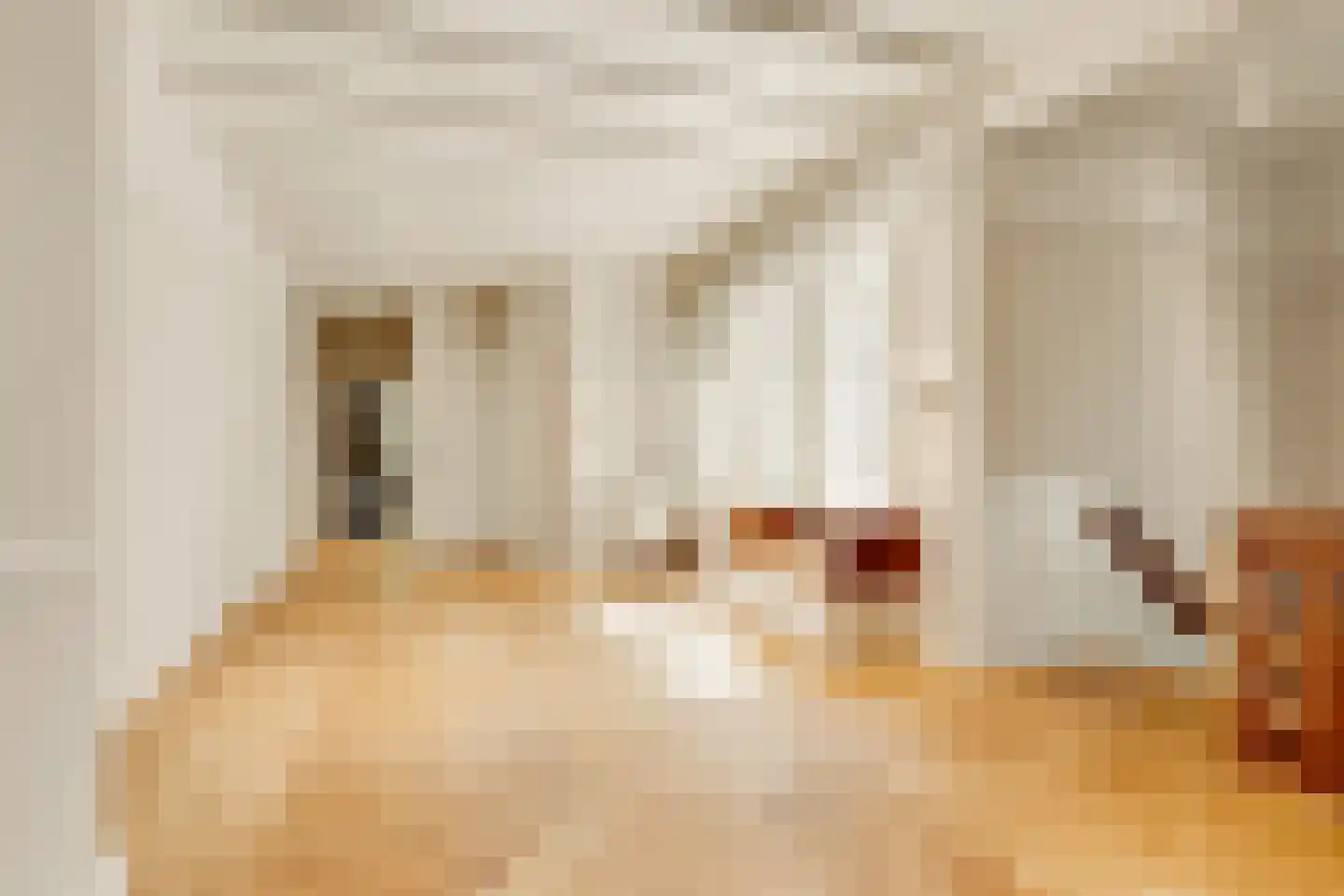 Apeldoornsestraat 60 Voorthuizen thumbnail 40
