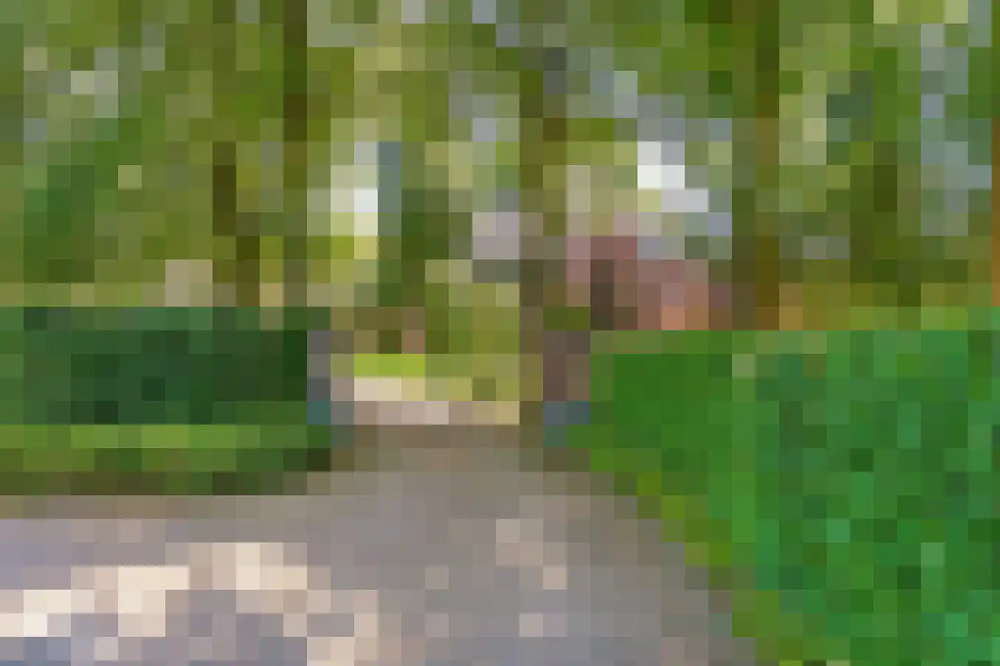 Apeldoornsestraat 60 Voorthuizen thumbnail 5