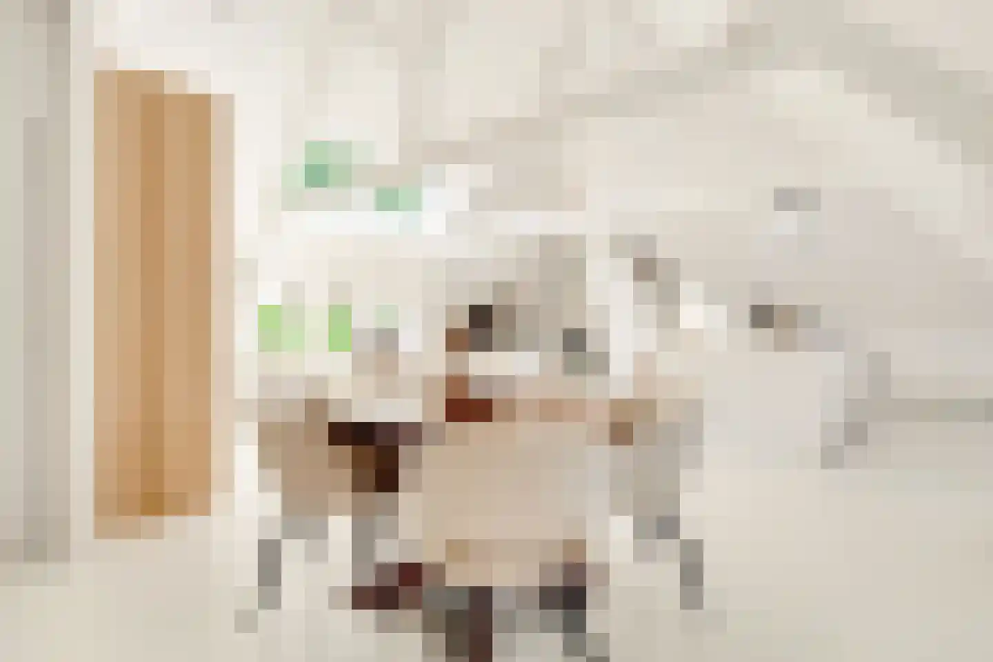 Apeldoornsestraat 60 Voorthuizen thumbnail 50