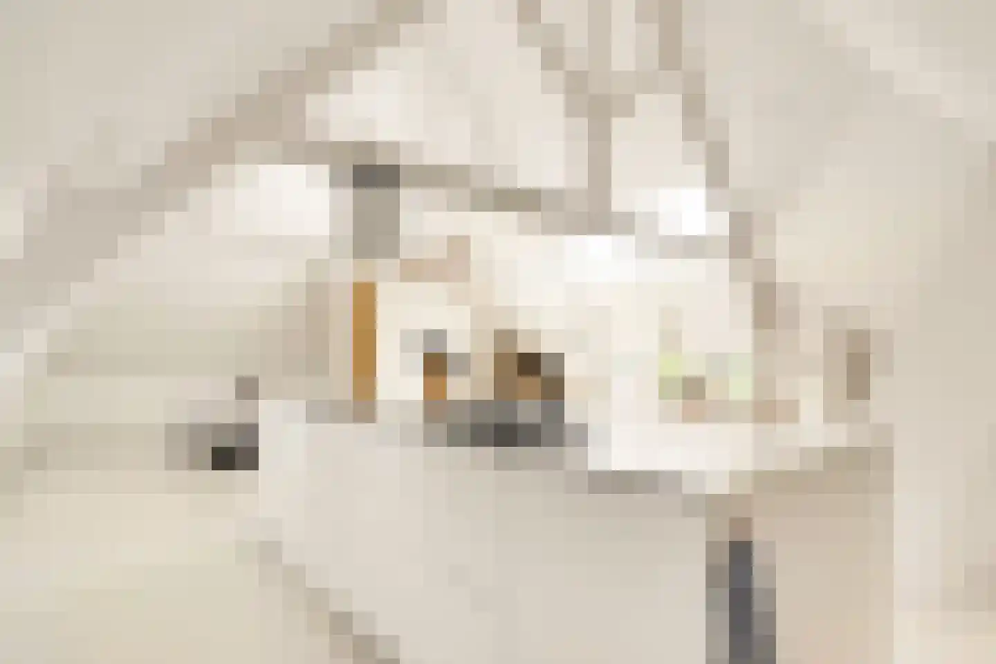 Apeldoornsestraat 60 Voorthuizen thumbnail 51