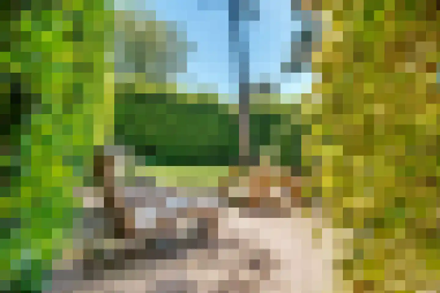 Apeldoornsestraat 60 Voorthuizen thumbnail 56