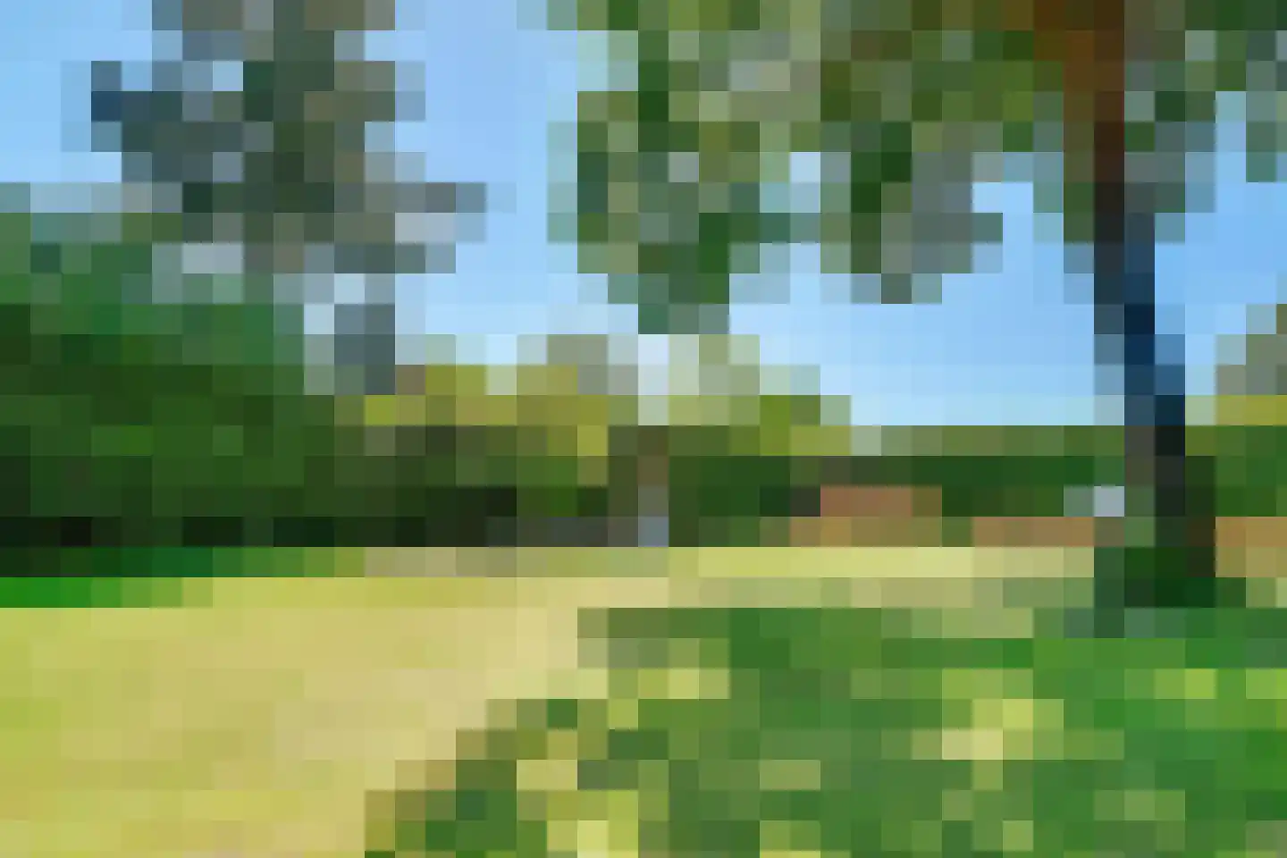 Apeldoornsestraat 60 Voorthuizen thumbnail 60
