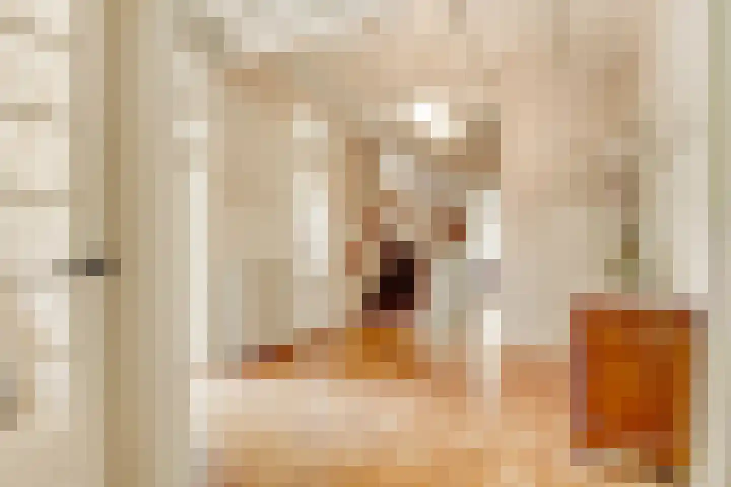 Apeldoornsestraat 60 Voorthuizen thumbnail 9