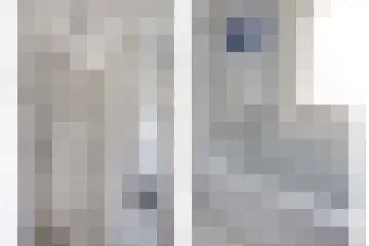 Apeldoornsestraat 9 Kampen thumbnail 17