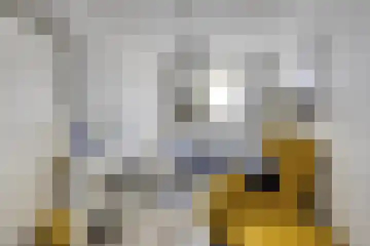 Apeldoornsestraat 9 Kampen thumbnail 20