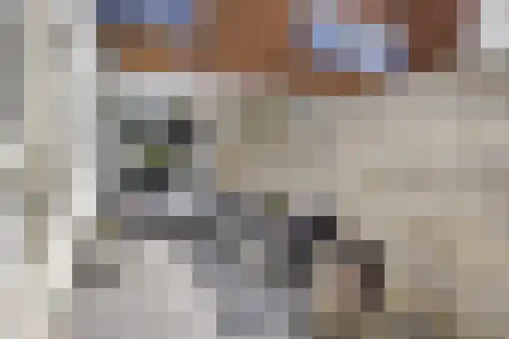 Apeldoornsestraat 9 Kampen thumbnail 24