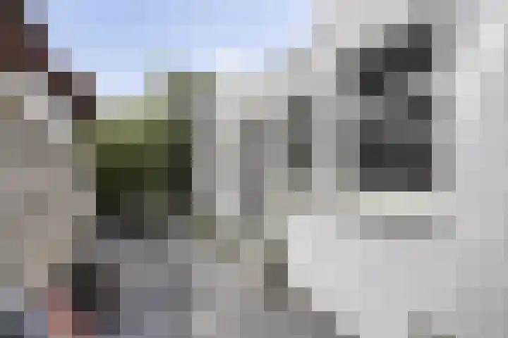 Apeldoornsestraat 9 Kampen thumbnail 25