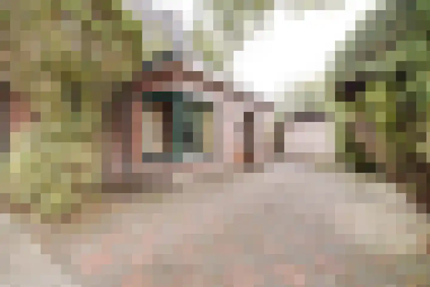 Apeldoornseweg 1 Vaassen thumbnail 29