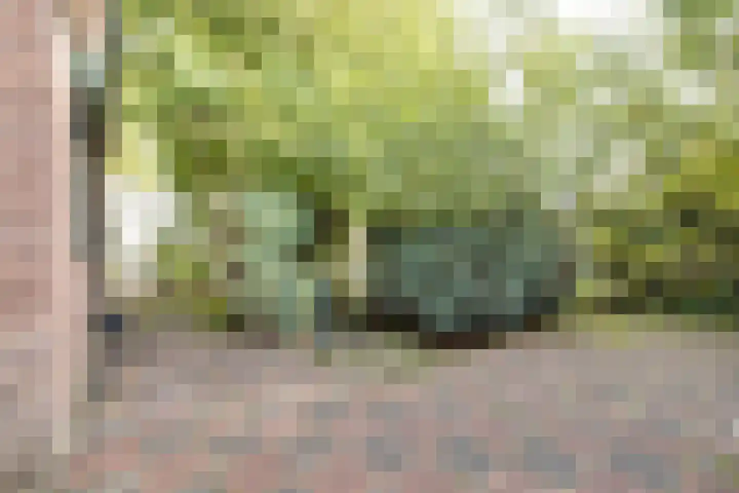 Apeldoornseweg 1 Vaassen thumbnail 30