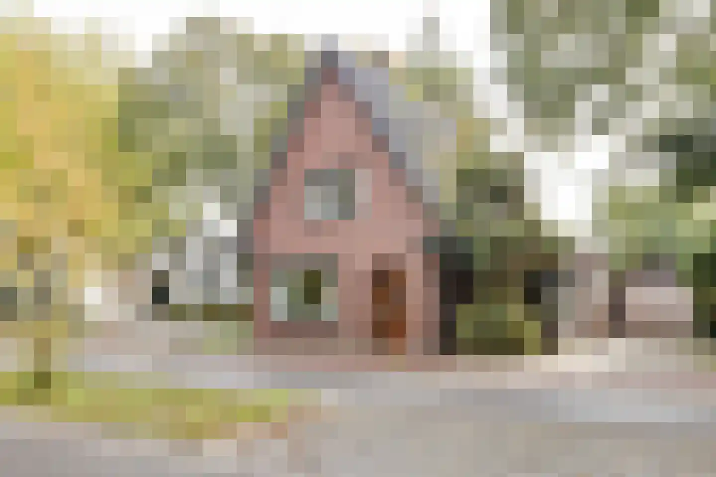 Apeldoornseweg 1 Vaassen thumbnail 33