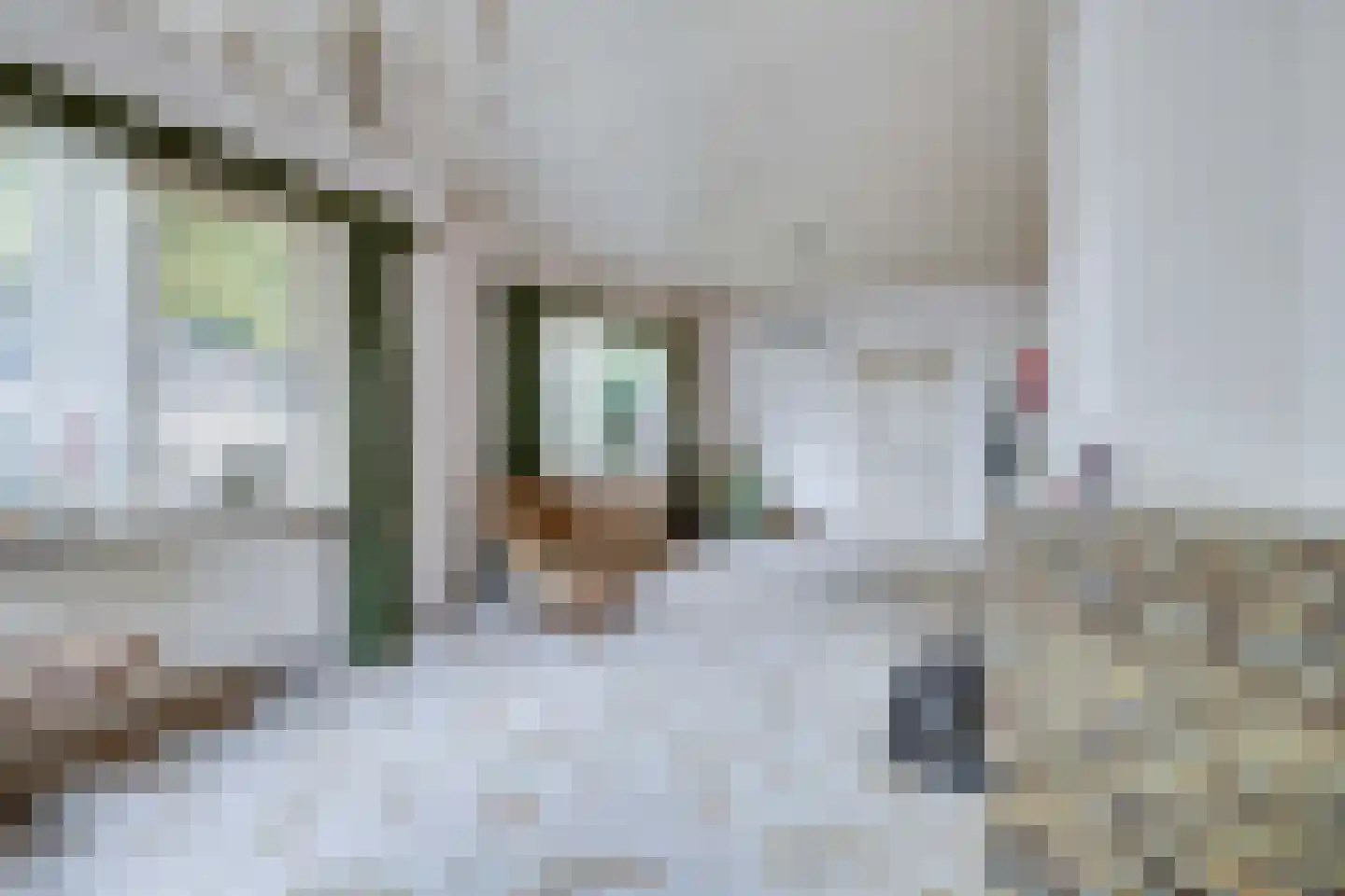Apeldoornseweg 1 Vaassen thumbnail 5