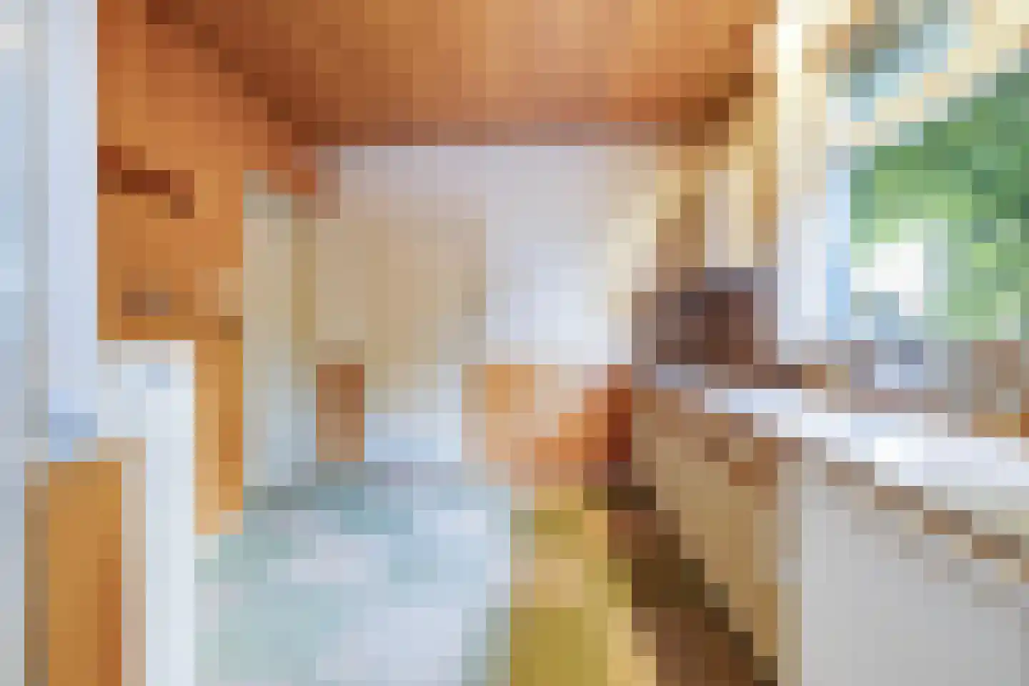 Apeldoornseweg 1 Vaassen thumbnail 8