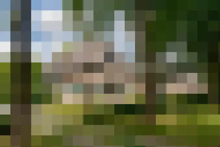 Apeldoornseweg 12 Hattem thumbnail 10