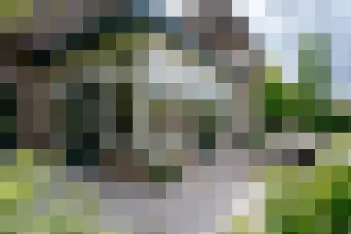 Apeldoornseweg 12 Hattem thumbnail 64