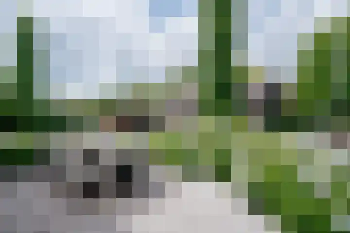 Apeldoornseweg 12 Hattem thumbnail 66