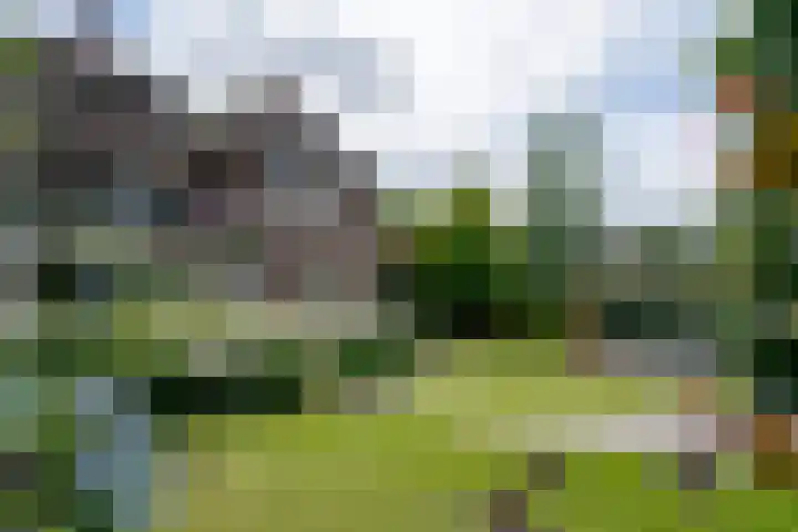 Apeldoornseweg 12 Hattem thumbnail 67