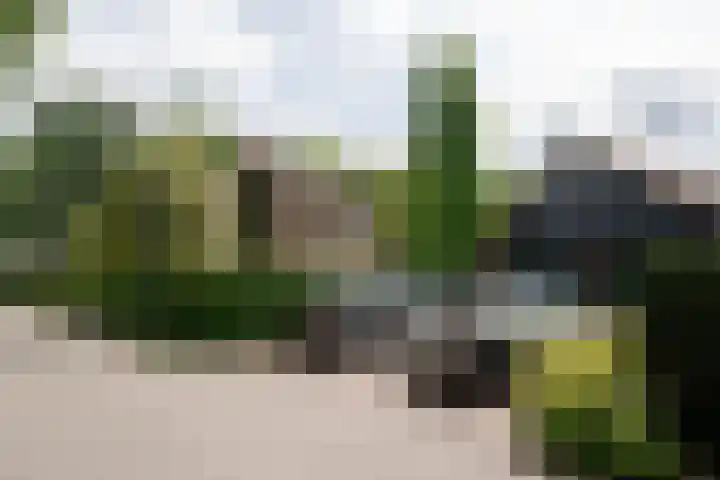 Apeldoornseweg 12 Hattem thumbnail 7