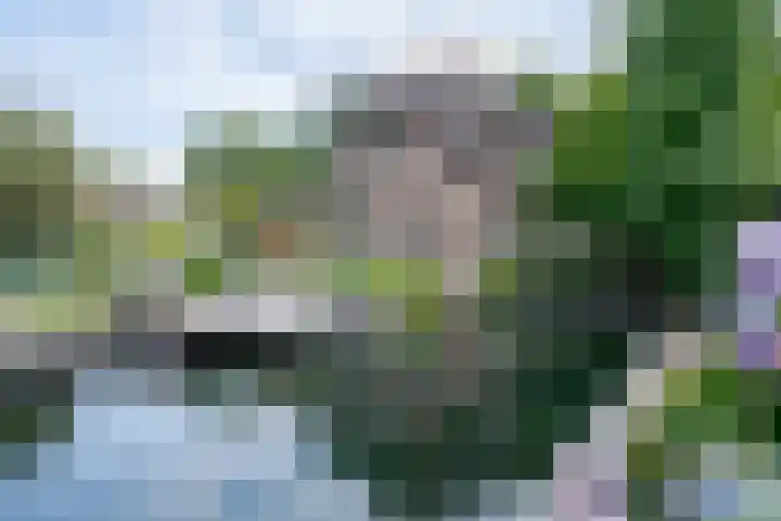 Apeldoornseweg 12 Hattem thumbnail 70
