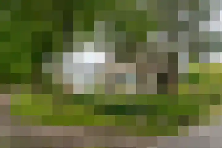 Apeldoornseweg 12 Hattem thumbnail 8