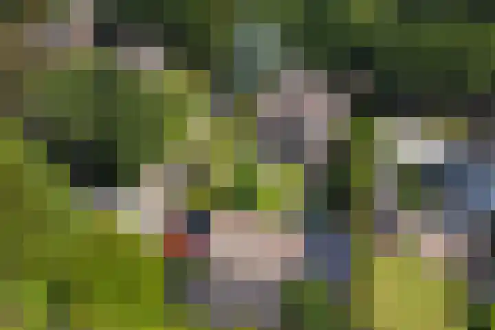 Apeldoornseweg 12 Hattem thumbnail 81