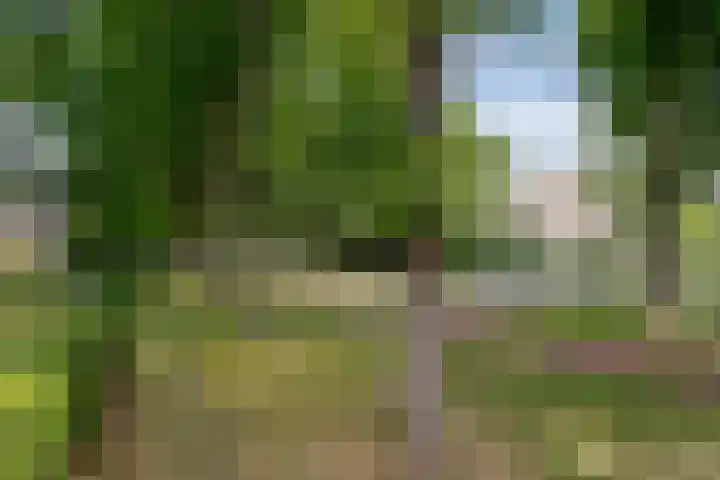 Apeldoornseweg 12 Hattem thumbnail 9