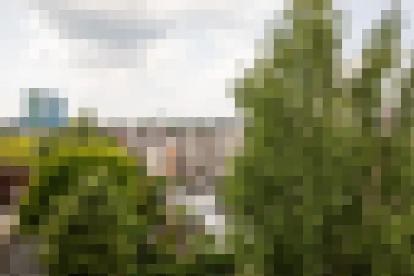 Apeldoornseweg 13 Arnhem thumbnail 15