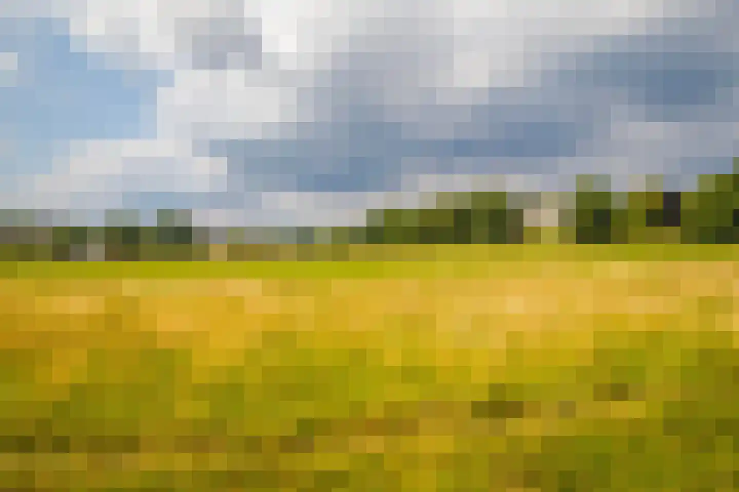 Apeldoornseweg 13 Arnhem thumbnail 32