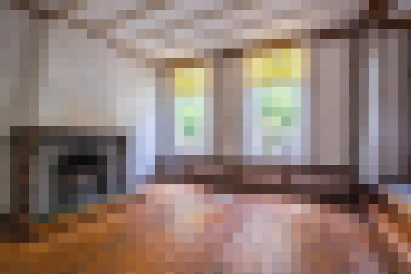 Apeldoornseweg 13 Arnhem thumbnail 6