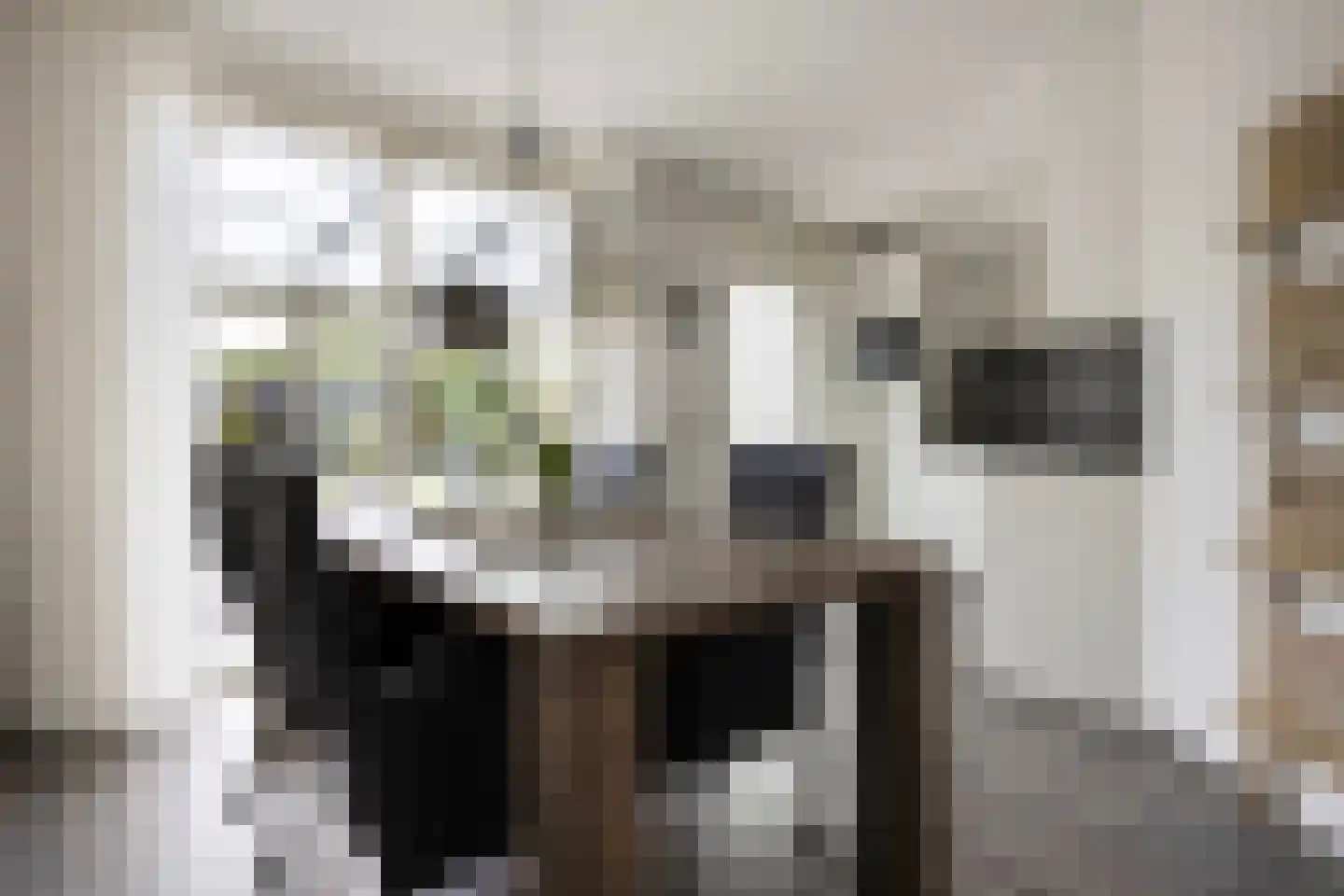 Apeldoornseweg 13 Vaassen thumbnail 9