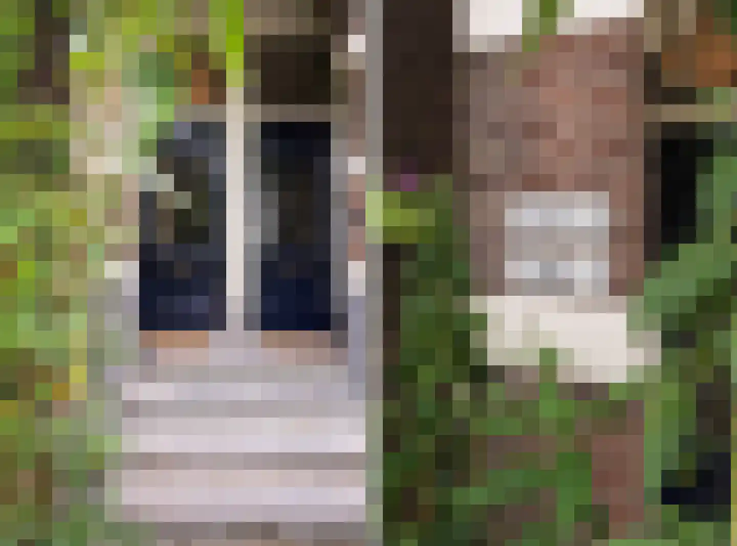 Apeldoornseweg 130 1 Arnhem thumbnail 8