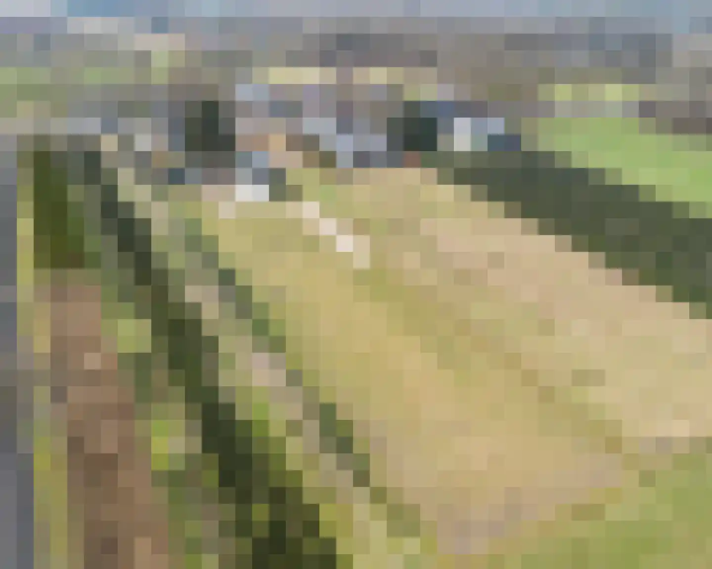Apeldoornseweg 133 Vaassen thumbnail 36