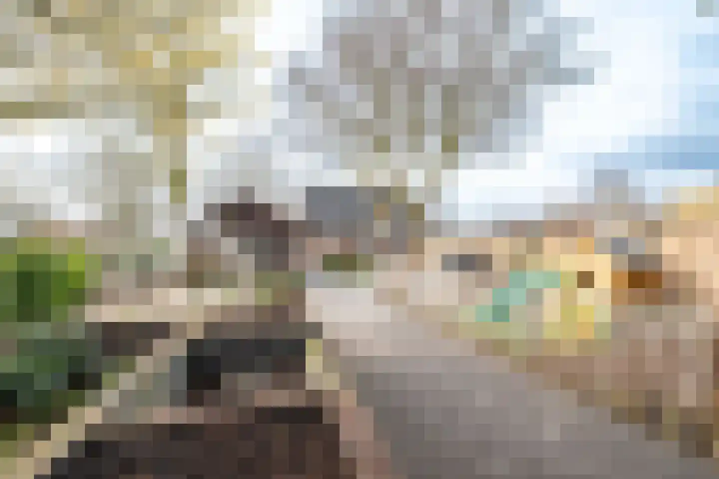 Apeldoornseweg 133 Vaassen thumbnail 42