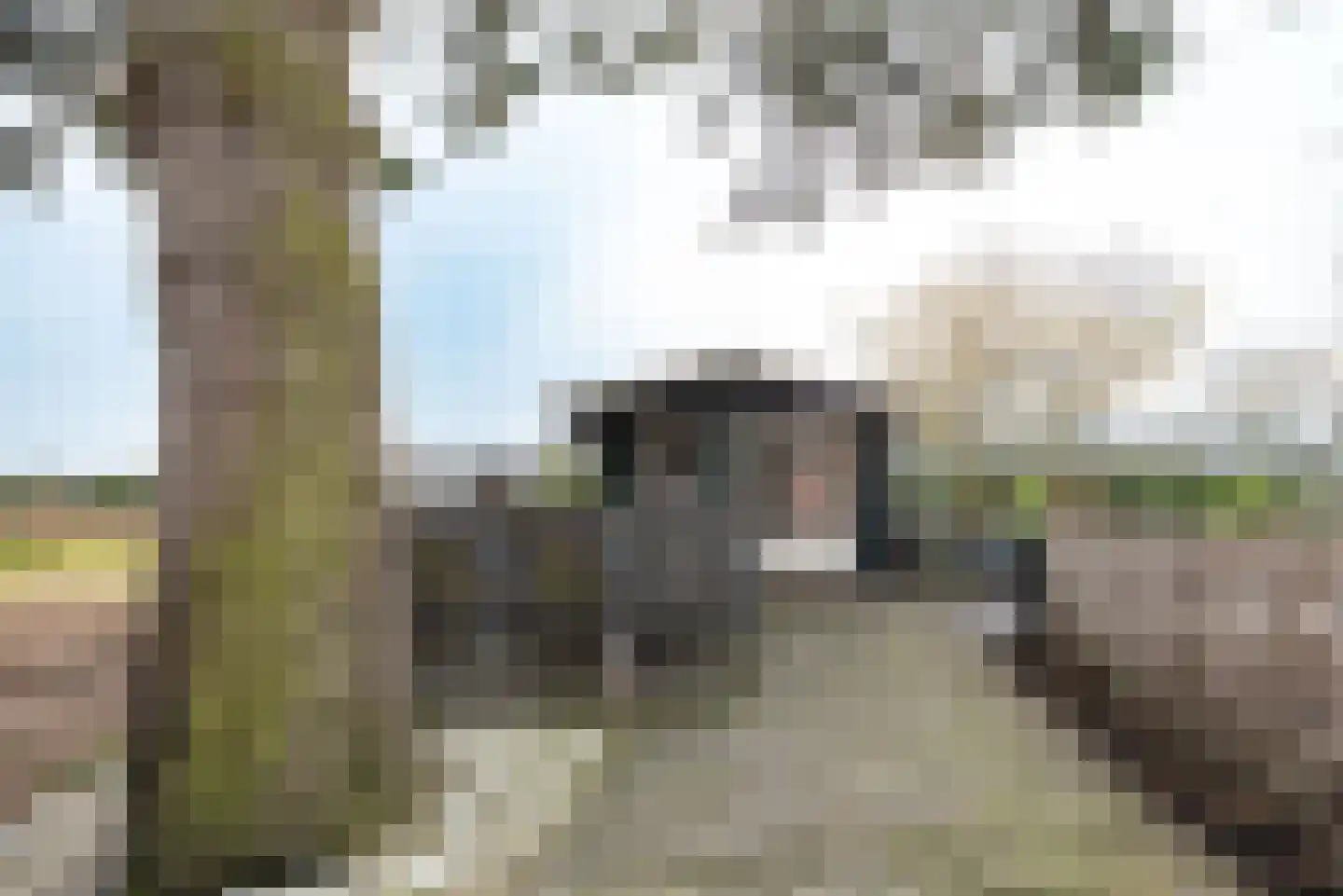 Apeldoornseweg 133 Vaassen thumbnail 44