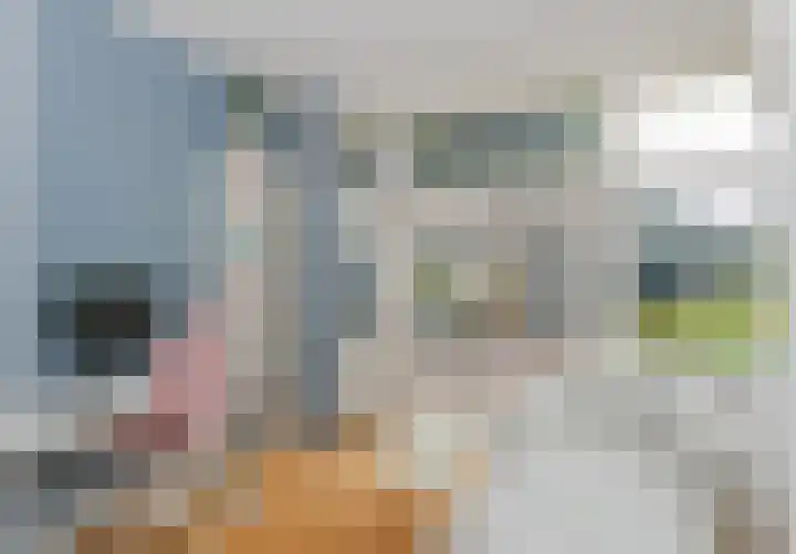 Apeldoornseweg 14 Hoenderloo thumbnail 11