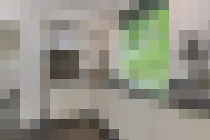 Apeldoornseweg 14 Hoenderloo thumbnail 14