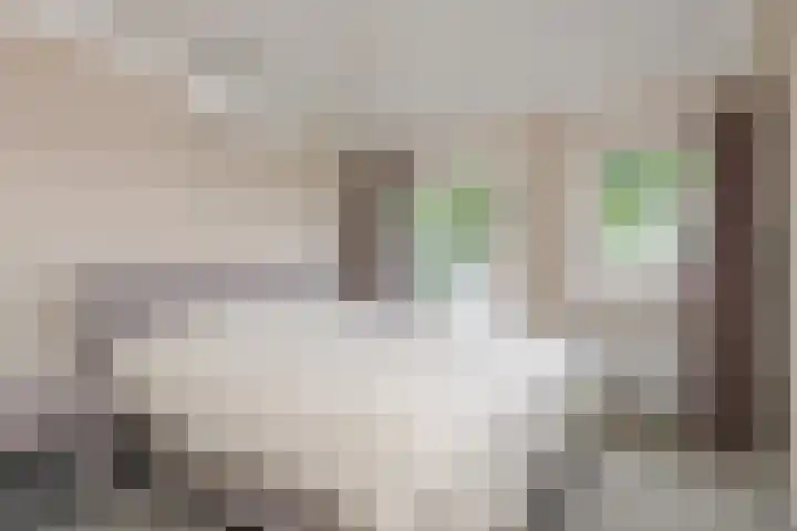 Apeldoornseweg 14 Hoenderloo thumbnail 19