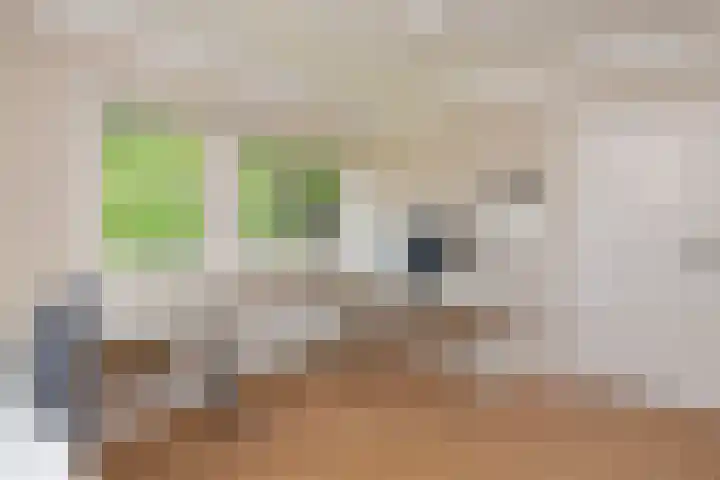 Apeldoornseweg 14 Hoenderloo thumbnail 21