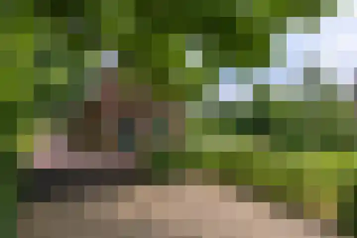 Apeldoornseweg 14 Hoenderloo thumbnail 24
